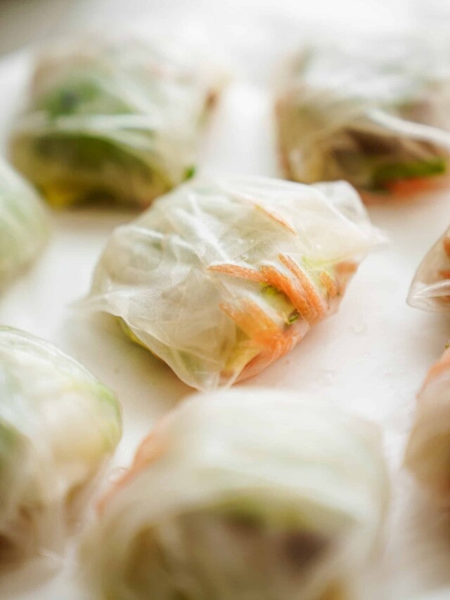 Tofu Spring Rolls