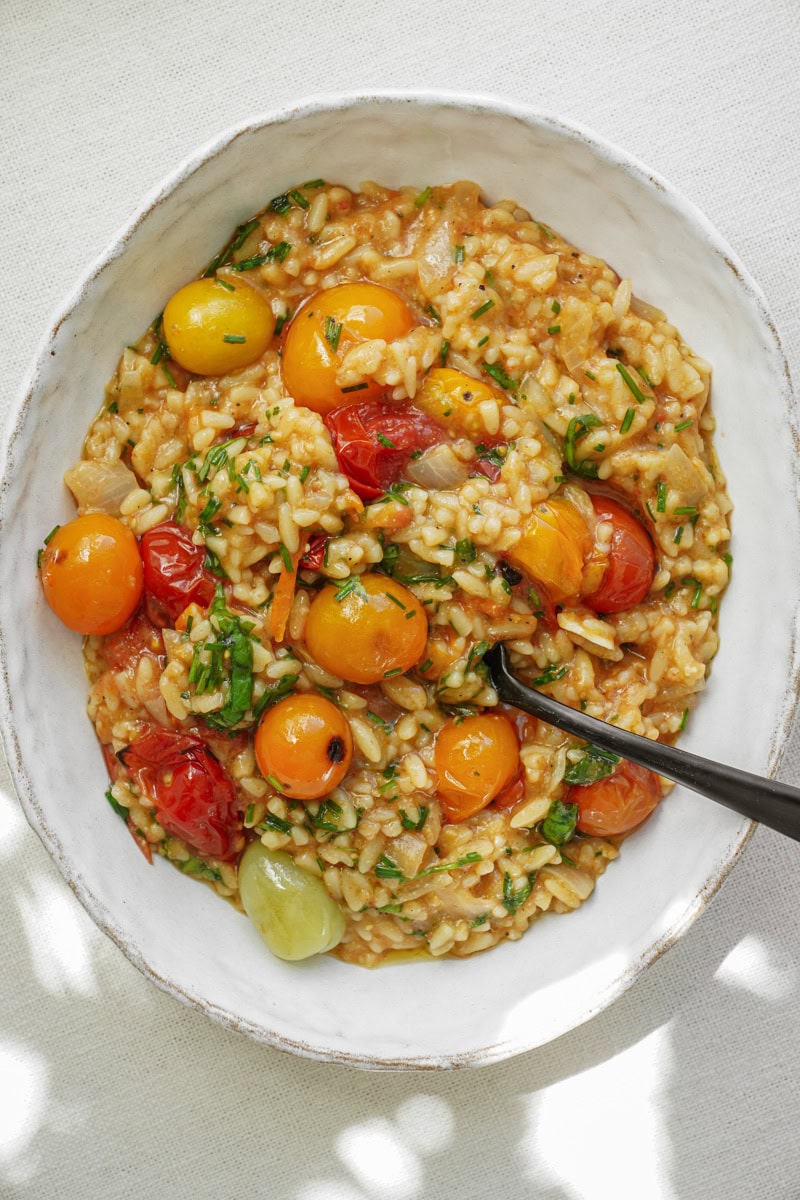 White plate with blistered tomatoes and orzo in it