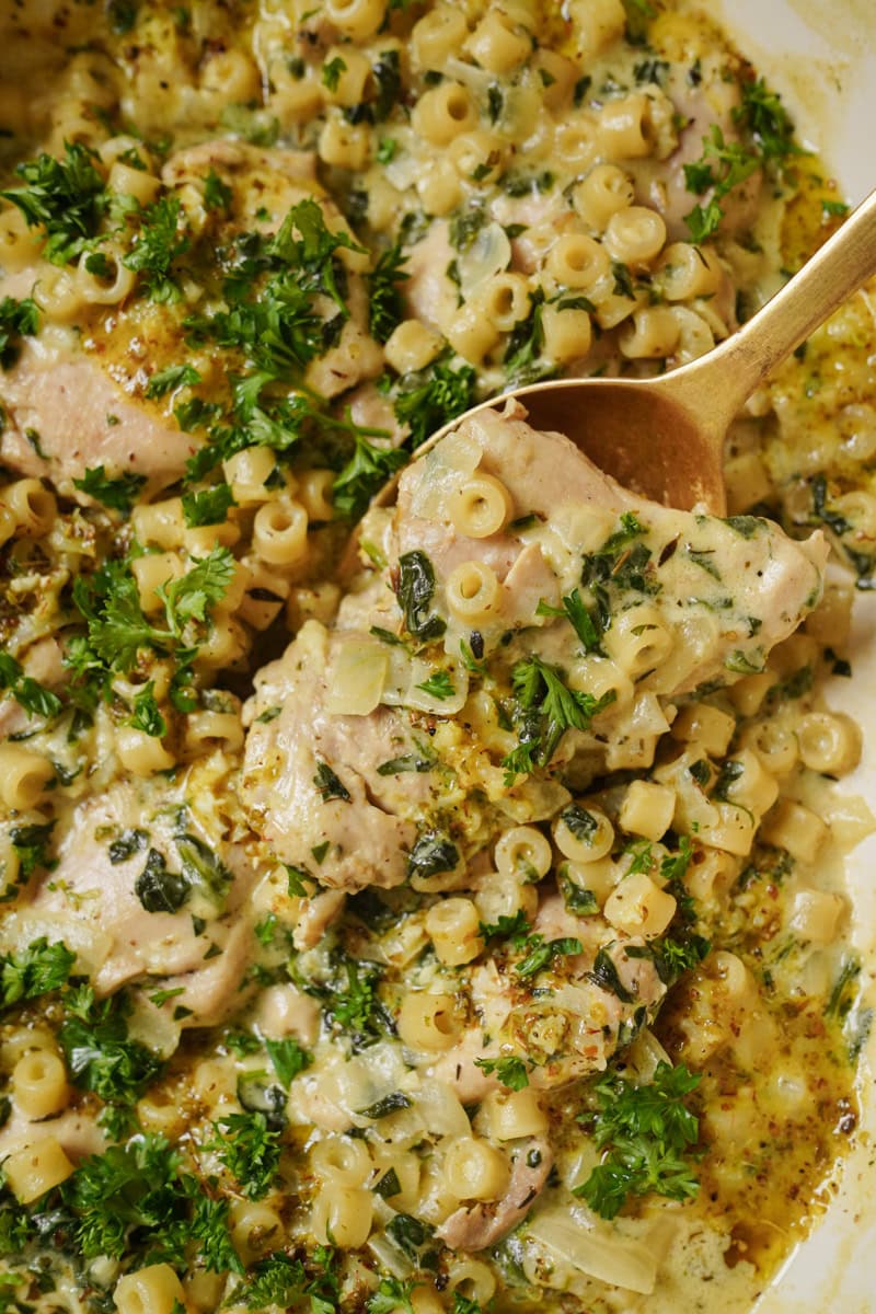 A close-up of creamy chicken pasta with small round noodles, chopped parsley, and a rich sauce. A golden spoon is lifting some pasta, showcasing the creamy texture and pieces of chicken.