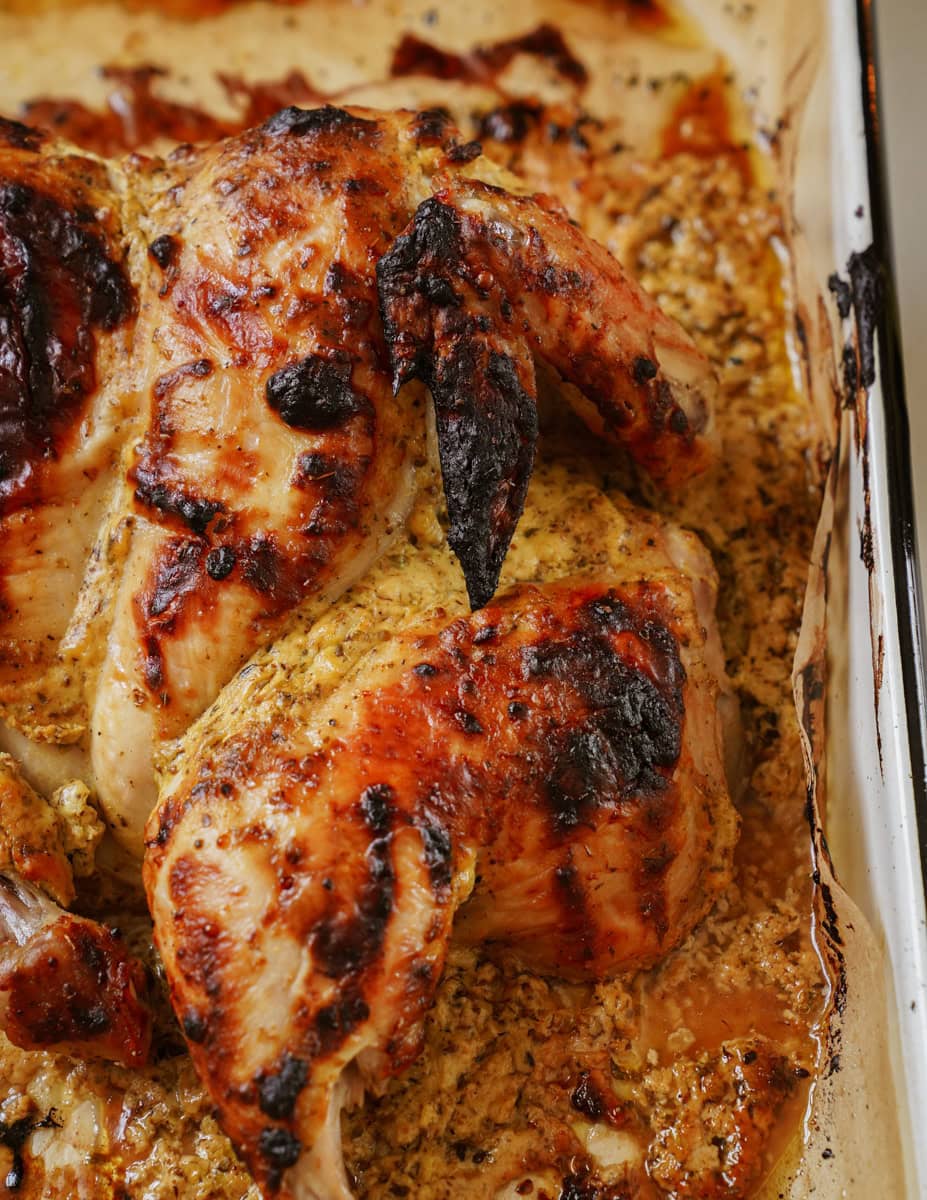 Close-up of roasted chicken with a crispy, browned skin, resting in a baking dish with visible herbs and juices. The chicken is spatchcocked, showcasing a golden exterior with slightly charred edges, suggesting a flavorful and tender interior.